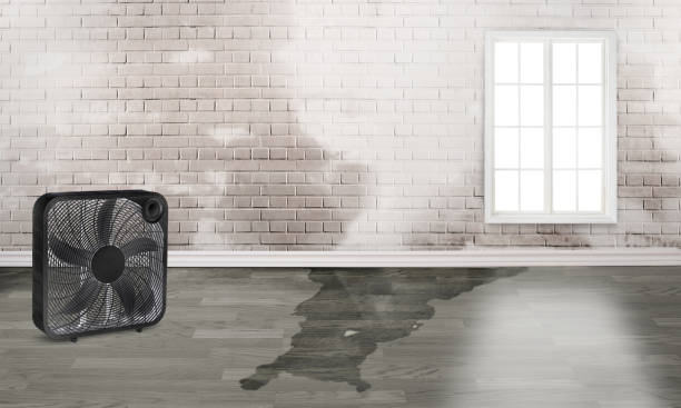 Best Sewage cleanup and water damage restoration  in Erda, UT